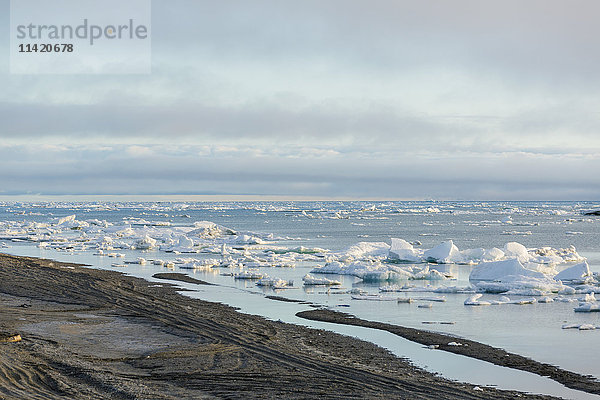 Kleine Meereisstücke sammeln sich an einem ruhigen Tag am Ufer des Arktischen Ozeans  Barrow  Arktisches Alaska  USA  Sommer
