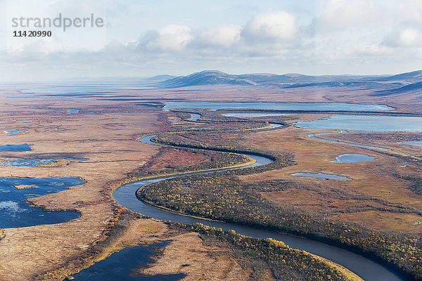 Luftaufnahme eines sich durch die Tundra schlängelnden Flusses im Herbst  arktisches Alaska  USA
