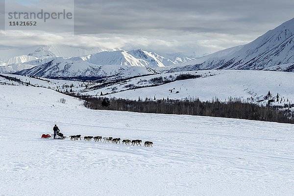 John Baker auf dem Trail in der Alaska Range im Ptarmigan Valley auf dem Weg nach Rohn vom Rainy Pass Checkpoint während des Iditarod 2016  Alaska.