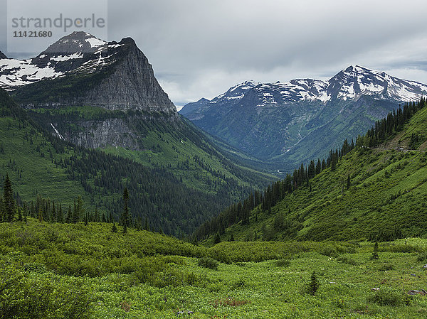 Üppig grünes Laub und schroffe Berge im Glacier National Park; Montana  Vereinigte Staaten von Amerika'.