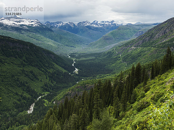 Extremes Gelände mit zerklüfteten Bergen und grünen bewaldeten Hängen  Glacier National Park; Montana  Vereinigte Staaten von Amerika'.