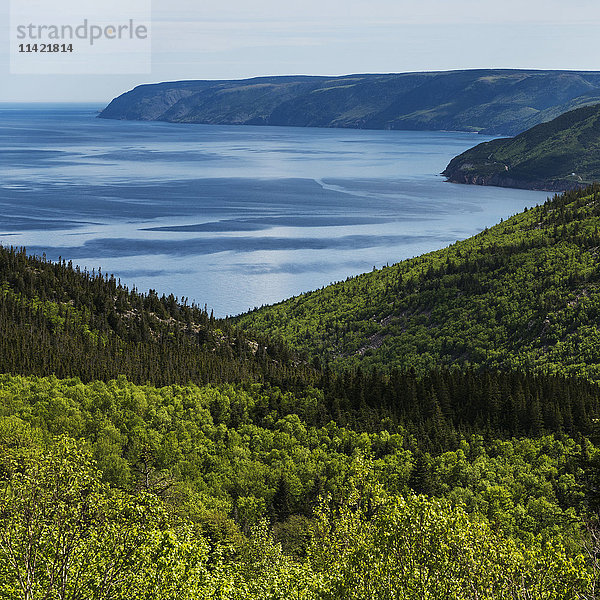 Üppige Wälder entlang der Küstenlinie; Pleasant Bay  Nova Scotia  Kanada