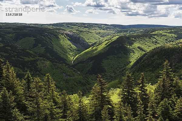 Wälder und grünes Laub in der bergigen Landschaft von Cape Breton Island; Pleasant Bay  Nova Scotia  Kanada