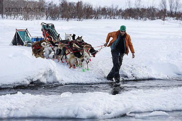 Kelly Maixner geht mit seinen Hunden über das offene Wasser des Happy River im Ptarmigan Valley auf dem Weg vom Rainy Pass Checkpoint nach Rohn während des Iditarod 2016  Alaska.
