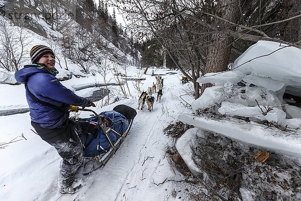 Ryne Olson auf dem Trail in der Alaska Range in der Dalzell-Schlucht auf dem Weg nach Rohn vom Rainy Pass Checkpoint während des Iditarod 2016  Alaska.