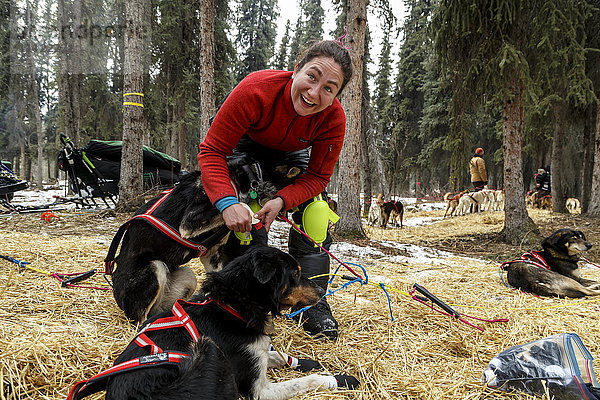 Musherin Sarah Stokey stiefelt mit ihren Hunden  während sie sich darauf vorbereitet  den Rohn-Checkpoint beim Iditarod 2016 in Alaska zu verlassen.