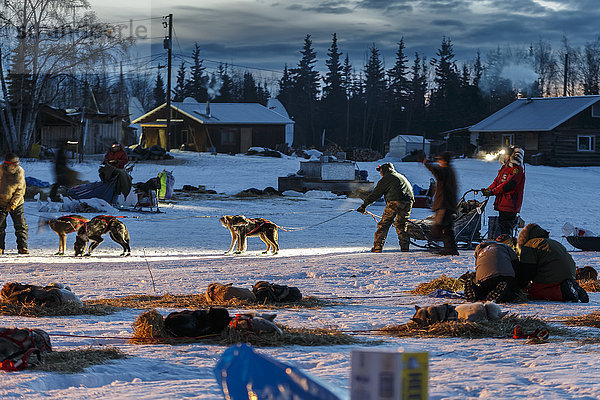Freiwillige Kontrolleure helfen dem Team von Tom Jamgochian beim morgendlichen Einparken am Kontrollpunkt Nikolai während des Iditarod 2016 in Alaska.