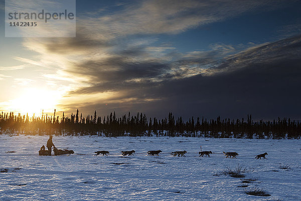 Rick Casillo läuft bei Sonnenuntergang auf dem Weg zum Cripple-Kontrollpunkt während des Iditarod 2016  Alaska.