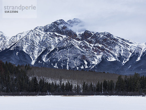 Schroffe Berge und Wälder im Jasper-Nationalpark; Alberta  Kanada'.