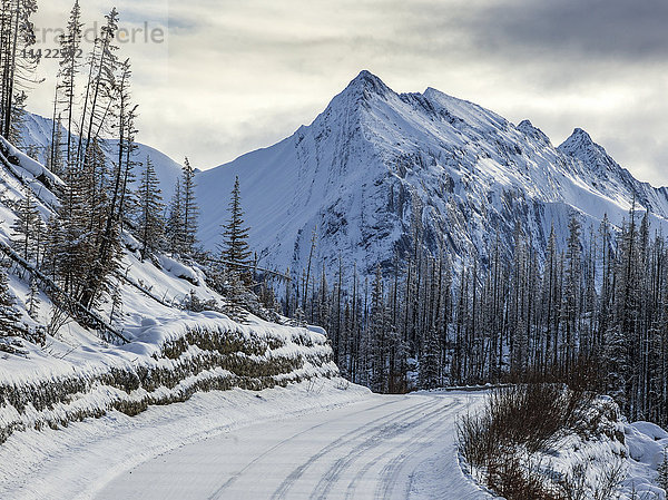 Schneebedeckte Straße und schroffe Berggipfel im Jasper National Park; Alberta  Kanada'.