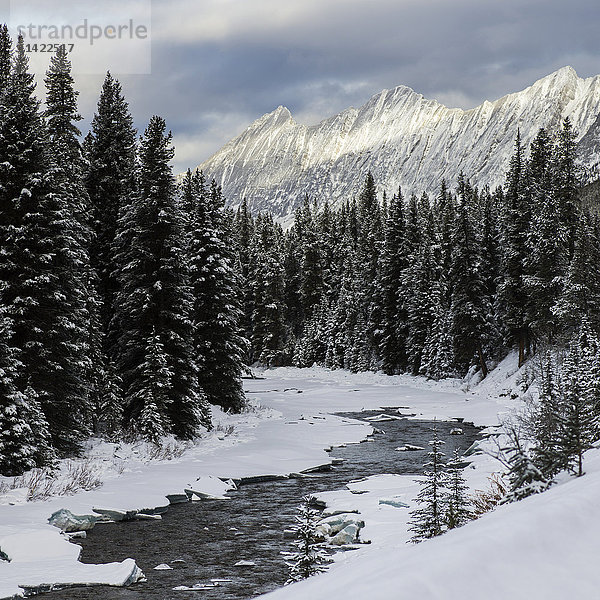 Schneebedeckter Wald und Fluss mit schroffen Berggipfeln im Jasper National Park; Alberta  Kanada'.