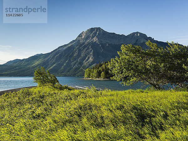 Waterton Lakes National Park; Alberta  Kanada'.