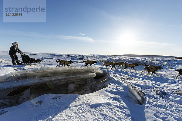 Brent Sass überquert das durcheinandergewirbelte Meereis und die Druckkämme der Norton Bay  als er sich dem Koyuk-Kontrollpunkt während des Iditarod 2016 in Alaska nähert