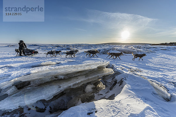 Dallas Seavey bahnt sich seinen Weg über das Meereis und die Druckkämme der Norton Bay auf dem Weg zum Koyuk Checkpoint während des Iditarod 2016  Alaska