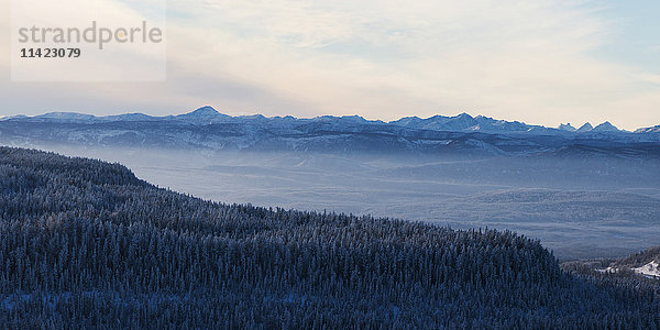 Schneebedeckte Landschaft der zerklüfteten kanadischen Rocky Mountains und ein Wald im Winter; British Columbia  Kanada