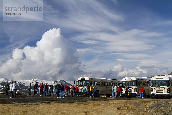 Busladungen von Besuchern des Denali-Nationalparks und -Schutzgebiets machen am Stony Hill Overlook eine Pause  Inneres Alaska  USA