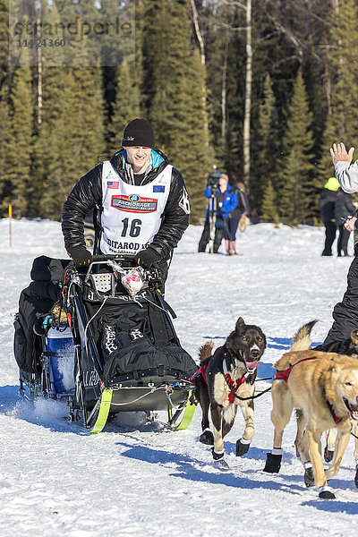 Blick auf Dallas Seavey beim Start des Iditarod-Hundeschlittenrennens 2016 am Willow Lake  Alaska  USA  Winter.