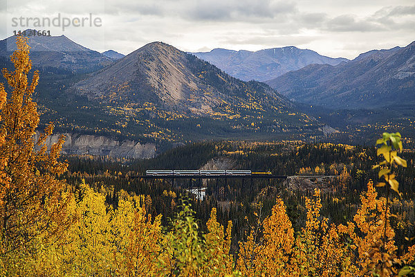 Ein Personenzug der Alaska Railroad fährt im Herbst über die Riley Creek Bridge  Denali National Park  Inner Alaska  USA