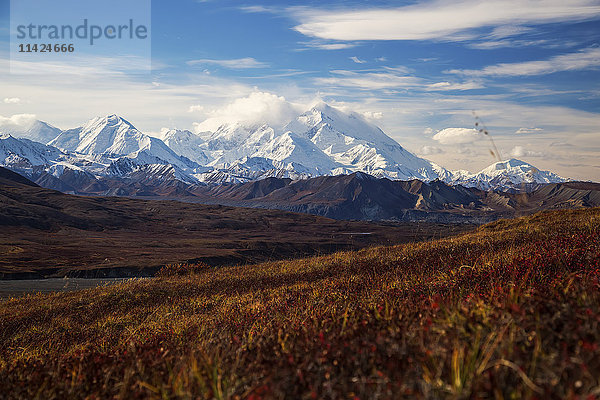 Blick auf Denali vom Thorofare Ridge Trail  Denali National Park; Alaska  Vereinigte Staaten von Amerika'.