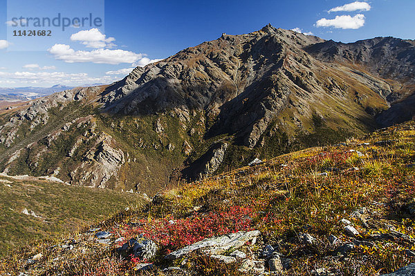 Landschaft im felsigen Hochland des Denali National Park and Preserve  im Inneren Alaskas; Alaska  Vereinigte Staaten von Amerika'.