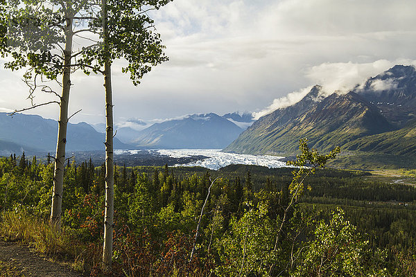 Matanuska-Gletscher  gesehen vom Glenn Highway in der Nähe von Sheep Mountain; Alaska  Vereinigte Staaten von Amerika'.