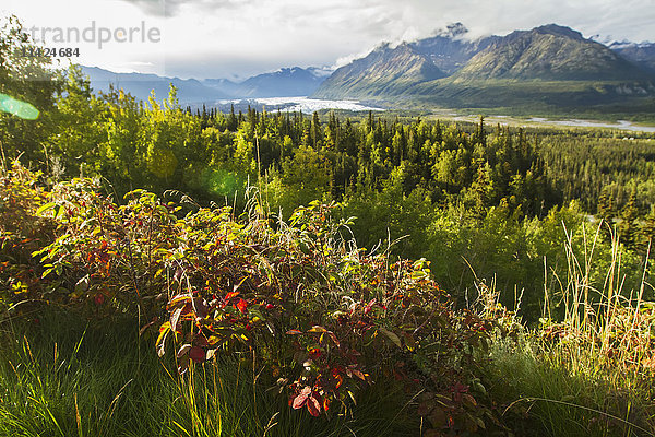 Matanuska-Gletscher  gesehen vom Glenn Highway in der Nähe von Sheep Mountain; Alaska  Vereinigte Staaten von Amerika'.