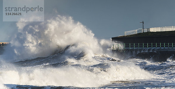 Eine große Welle bricht und kracht gegen das Ufer; Sunderland  Tyne and Wear  England'.