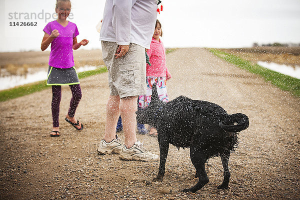 Ein Hund schüttelt sich  um sich das Wasser vom Fell zu spritzen  während er mit einer Familie spazieren geht; Saskatchewan  Kanada