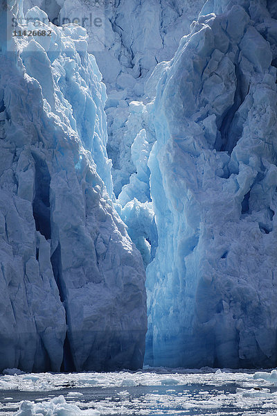 Kalbender Sawyer-Gletscher  Tracy Arm  Südost-Alaska; Alaska  Vereinigte Staaten von Amerika'.