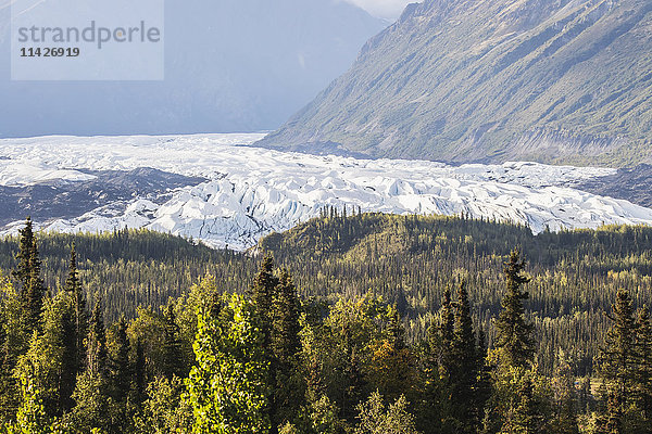 Matanuska Glacier vom Glenn Highway in der Nähe des Sheep Mountain aus gesehen  buntes Sommerlaub um den Gletscher; Alaska  Vereinigte Staaten von Amerika'.