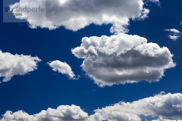 Große weiße Schäfchenwolken vor einem tiefblauen Himmel; Calgary  Alberta  Kanada'.