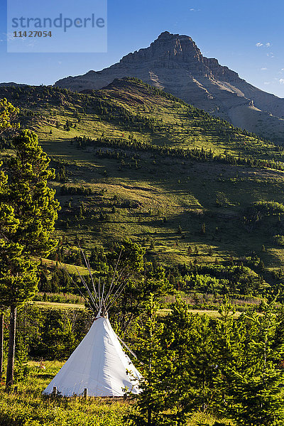 Großes weißes Tipi in einem bewaldeten Feld mit grünen Hügeln und Berggipfel im Hintergrund; Waterton  Alberta  Kanada'.