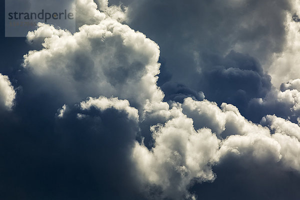 Detail von Gewitterwolken am Himmel; Calgary  Alberta  Kanada'.