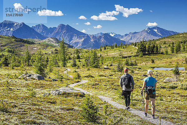 Männlicher und weiblicher Wanderer auf einem Wiesenweg mit Bergkette in der Ferne mit blauem Himmel und Wolken; Banff  Alberta  Kanada'.