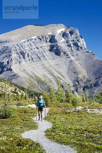 Wanderin auf einem Wiesenweg mit Berggipfel in der Ferne und blauem Himmel; Banff  Alberta  Kanada'.