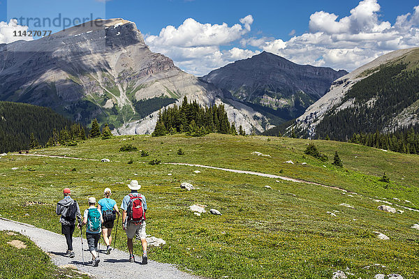 Eine Gruppe von Wanderern  die auf einem Wiesenweg mit Bergketten in der Ferne und blauem Himmel und Wolken spazieren geht; Banff  Alberta  Kanada'.