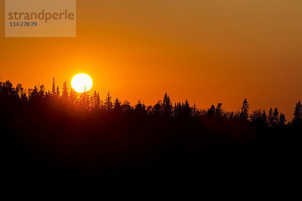 Oranger Sonnenuntergang mit Silhouette eines Hügels mit immergrünen Bäumen; Elkwater  Alberta  Kanada'.