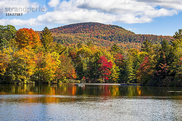 Herbstlich gefärbte Bäume in einem Wald um einen kleinen See; Sally's Pond  Quebec  Kanada'.