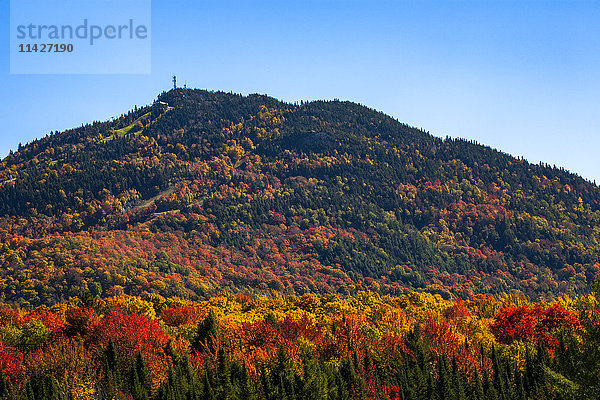 Berg Owl's Head; Potton  Quebec  Kanada'.