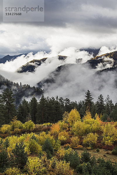 Wolken in den bewaldeten Tälern zwischen Mestia und Ushguli  Obersvaneti; Samegrelo-Zemo Svaneti  Georgien'.