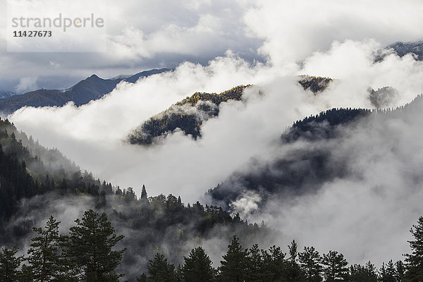 Wolken in den bewaldeten Tälern zwischen Mestia und Ushguli  Obersvaneti; Samegrelo-Zemo Svaneti  Georgien'.