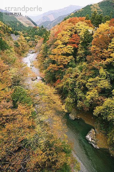 Wasserlauf und Herbstblätter in Okutama  Tokio  Japan