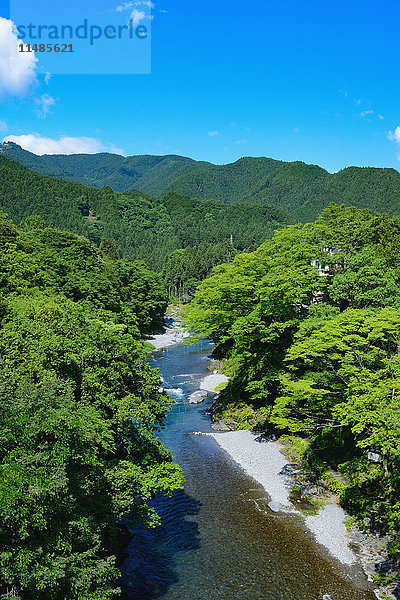 Frisches Grün im Otaki-Tal  Tokio  Japan