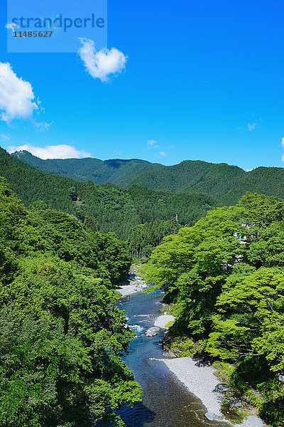 Frisches Grün im Otaki-Tal  Tokio  Japan