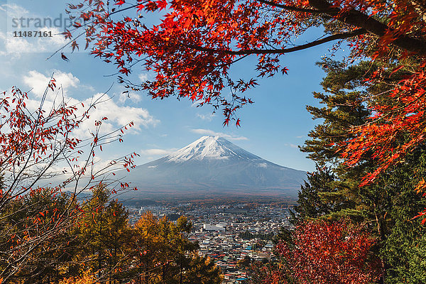 Berg Fuji und Herbstlaub vom Arakura Sengen Schrein  Präfektur Yamanashi  Japan