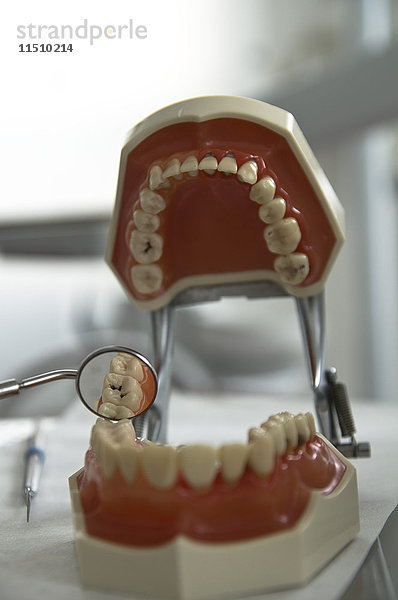 Falsche Zähne in einem Dentallabor