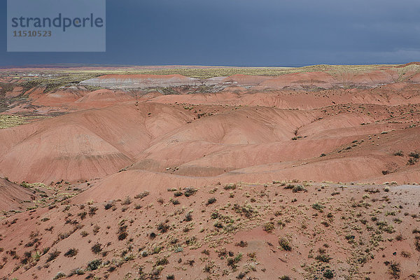 Erhöhter Blick auf die Felsformationen der Painted Desert im Versteinerten Wald des Nationalparks