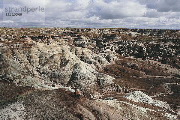Blick über die Landschaft der Felsformationen der Painted Desert im Petrified Forest National Park