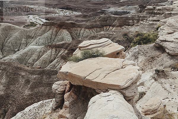 Blick in ein Tal der Felsformationen der Painted Desert im Petrified Forest National Park