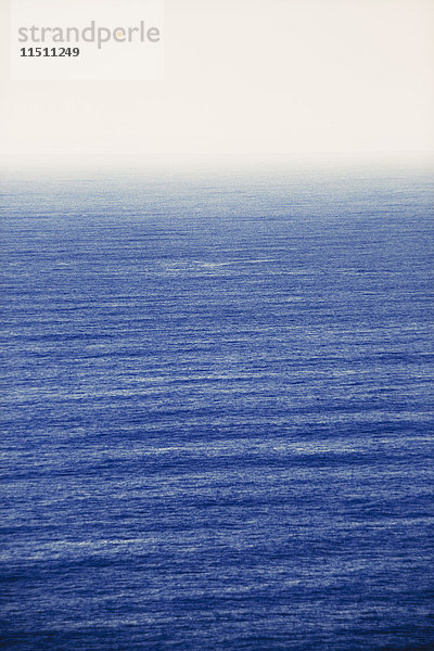 Der Blick zum Horizont  eine Meereslandschaft in der Abenddämmerung im Olympic National Park in Washington.